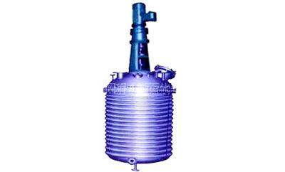 Tube Heater Stainless Steel Reactor