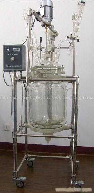G3.3 Double Layer Glass Reactor
