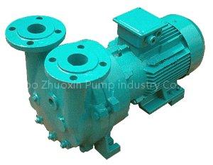 WATER-RING VACUUM PUMP