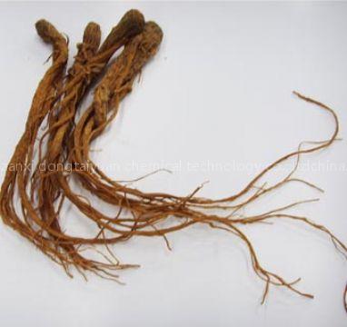 angelica extract