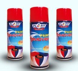 Paint Remover