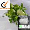 Synephrine