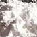 Titanium Dioxide