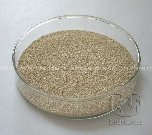 L-lysine