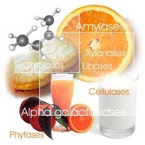 Enzymes