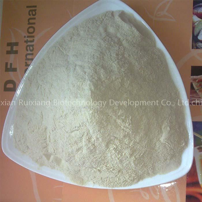 Wheat Gluten 75% protein