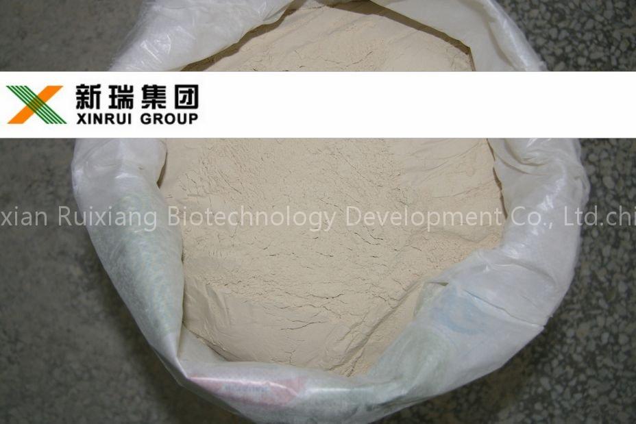 High Protein Wheat Gluten