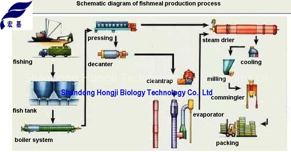fishmeal for fish food