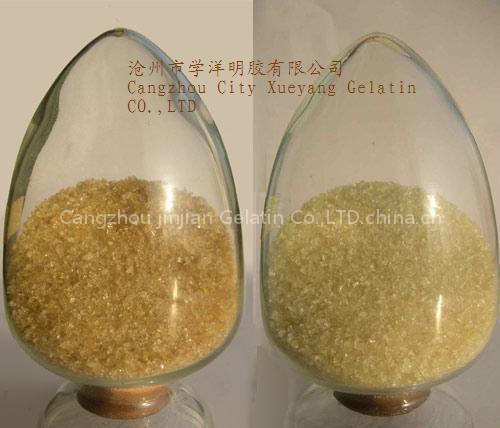 animal feed gelatin