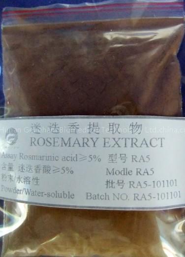 rosemary extract antioxidant