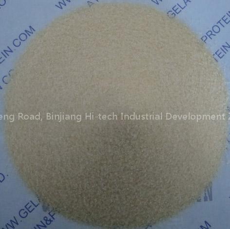 Halal Gelatin (80-280bloom)