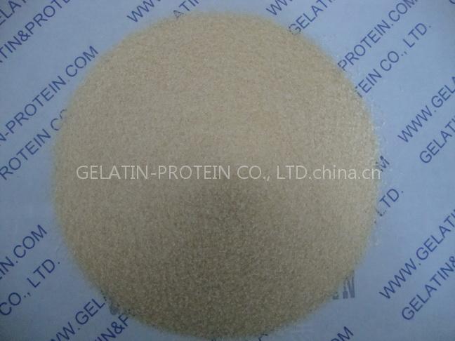 Gelatin for Candy