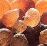 Egypt Gum Arabic