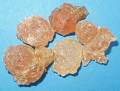 Nigeria Gum Arabic