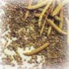 Guar Gum (India)