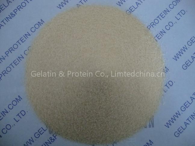 Capsule Gelatin (GPPG10-089)