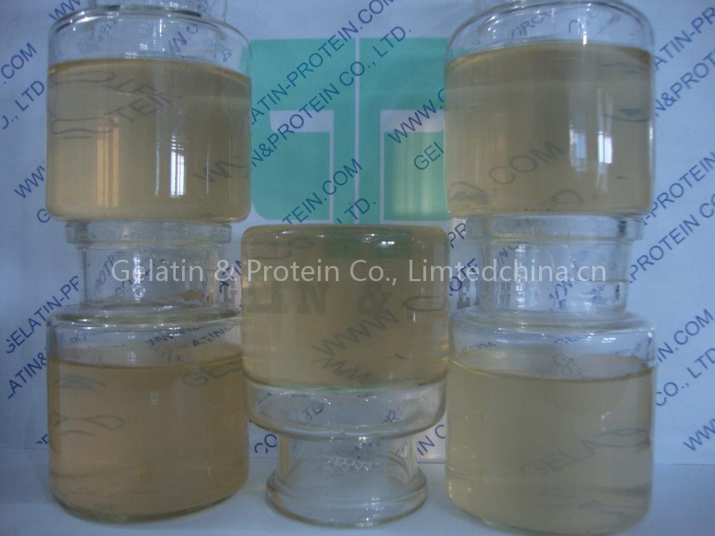 Bovine Bone Gelatin