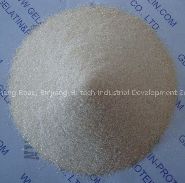 Gelatin for Bear Candy (GPEG10-088)