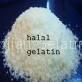 halal food gelatin