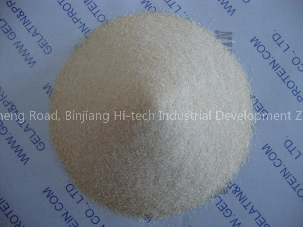 Gelatin for Candy (GPEG10-088)