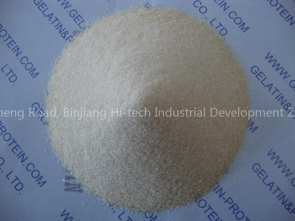 Gelatin for Gummi Candy (GPEG10-088)