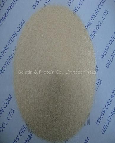 Pharmaceutical Grade Gelatin (GPPG10-089)