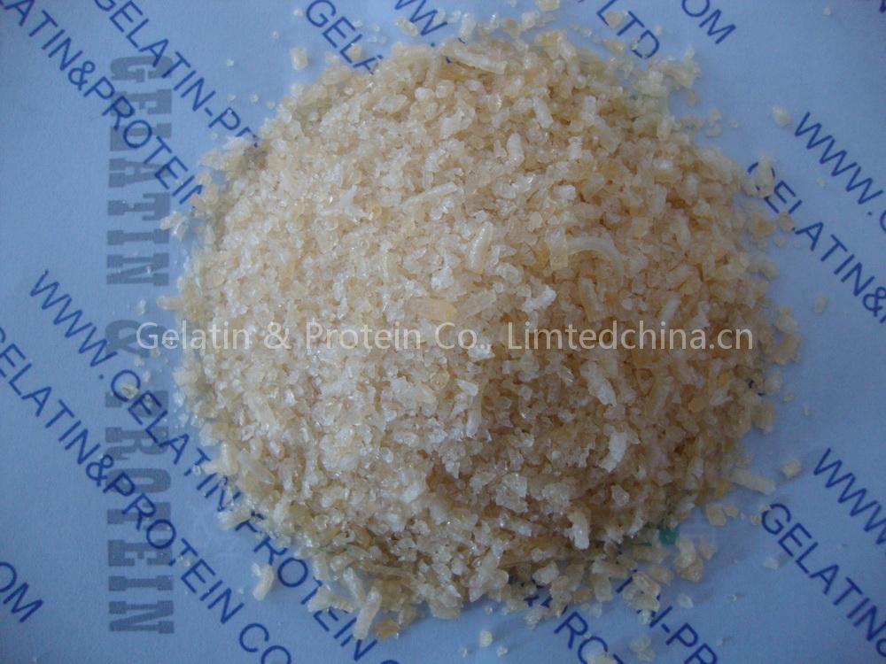 Pharmaceutical Grade Gelatin (GPEG10-088)
