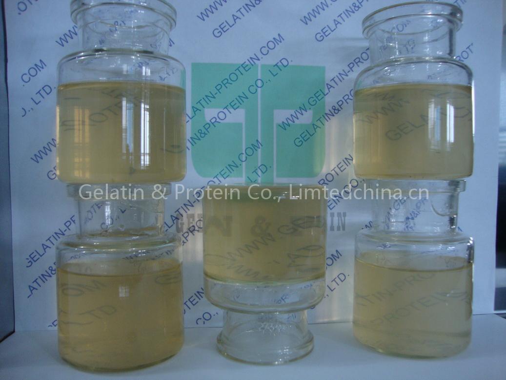 Medicine Gelatin (GPPG10-089)