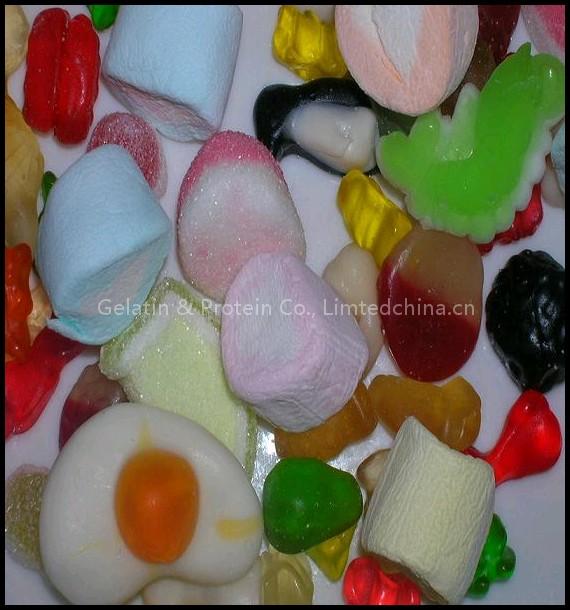Pig Skin Gelatin (GPEG10-088)