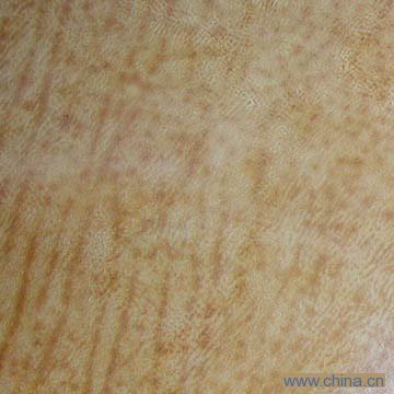 Semi-Aniline Finished Split Leahter