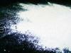 zinc oxide