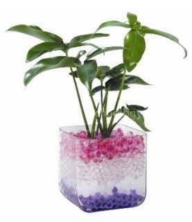 crystal soil