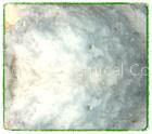 Carboxyl Methyl Cellulose