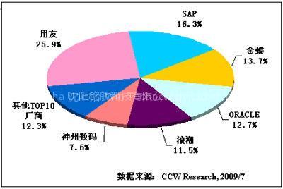 Enterprise Resource Planning (ERP)