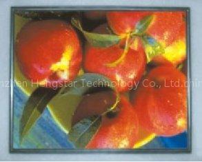 LTM170ET01 17'' Samsung LCD Panel