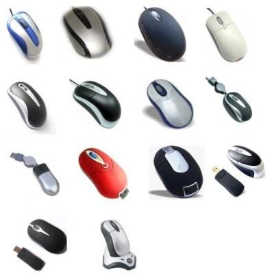 Mouse