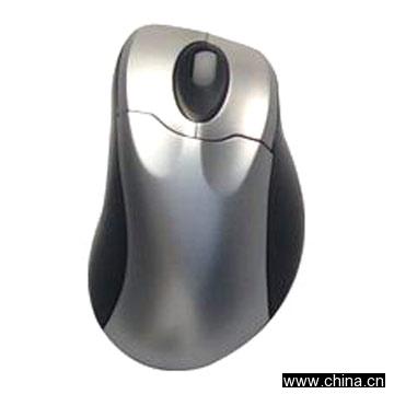 Computer Mouse