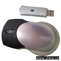 Wireless Mouse