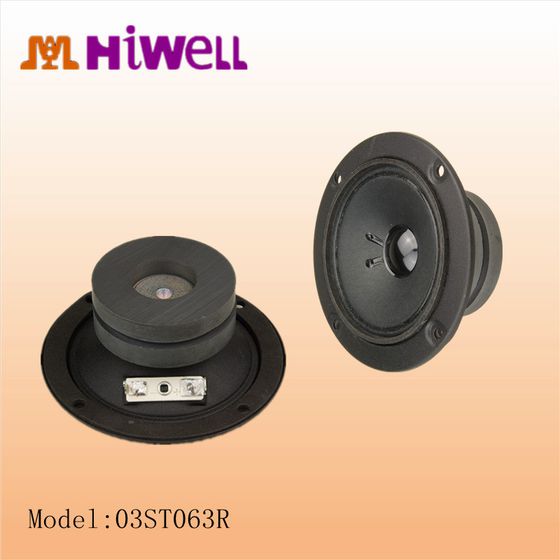 3 inch Tweeter Karaoke Speaker