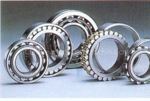 Deep Groove Bearing