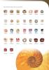 Shell Jewelry Products (Hong Kong)