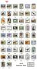 Wholesale Italian Charms (United States)