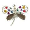 Brooch (Hong Kong)