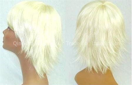 Hairpieces (hcxwi053)