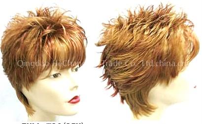 Human Hair (hcxwi051)