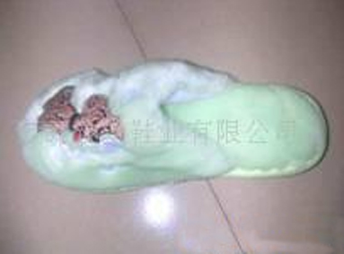 Winter Slipper
