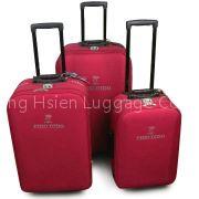 600D w/p polyester luggage set