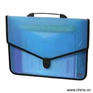 Document Bag