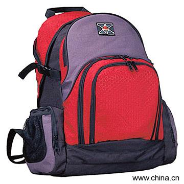 Computer Backpack