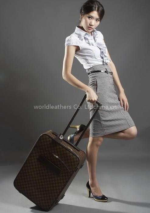 Louis Vuitton Damier Canvas Luggage PEGASE 50 N23256